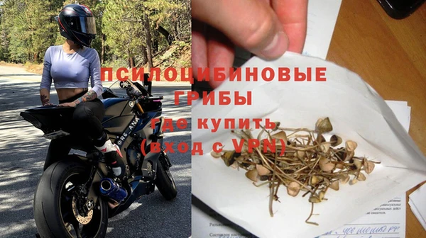 винт Богородицк