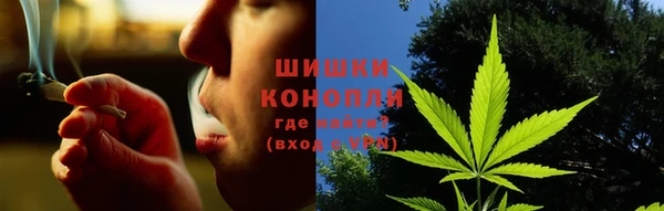 прущие грибы Богородск