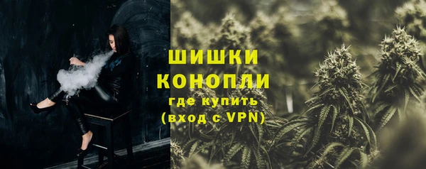 прущие грибы Богородск