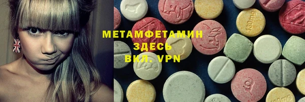 прущие грибы Богородск