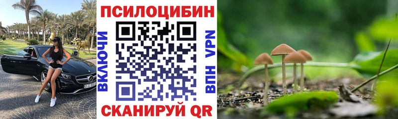 как найти наркотики Гудермес Галлюциногенные грибы Psilocybine cubensis