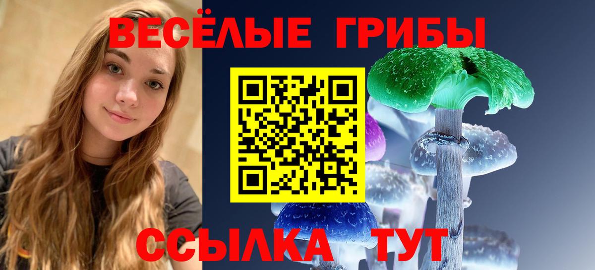 Галлюциногенные грибы GOLDEN TEACHER Гудермес