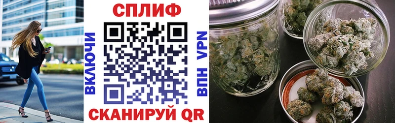 Каннабис SATIVA & INDICA Гудермес